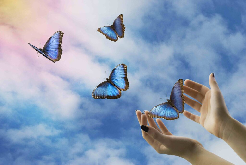 Letting Go