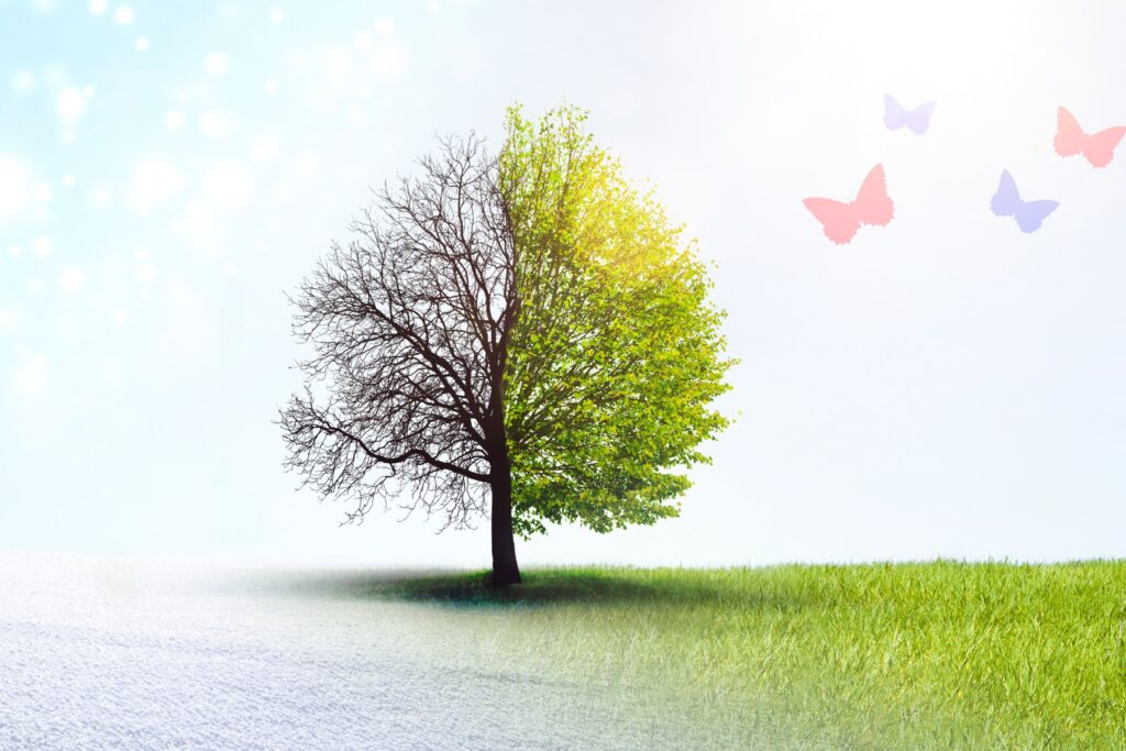 Coping with change